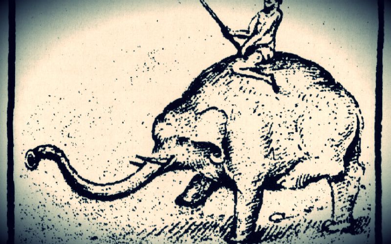 How Pope Leo X's Pet Elephant Helped Spark the Reformation