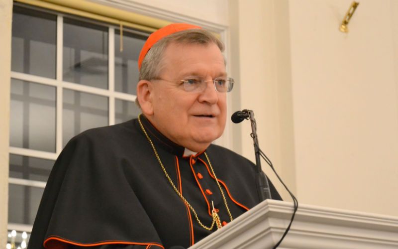 The Doctor Pressured My Mother to Abort Me, Cardinal Burke Reveals
