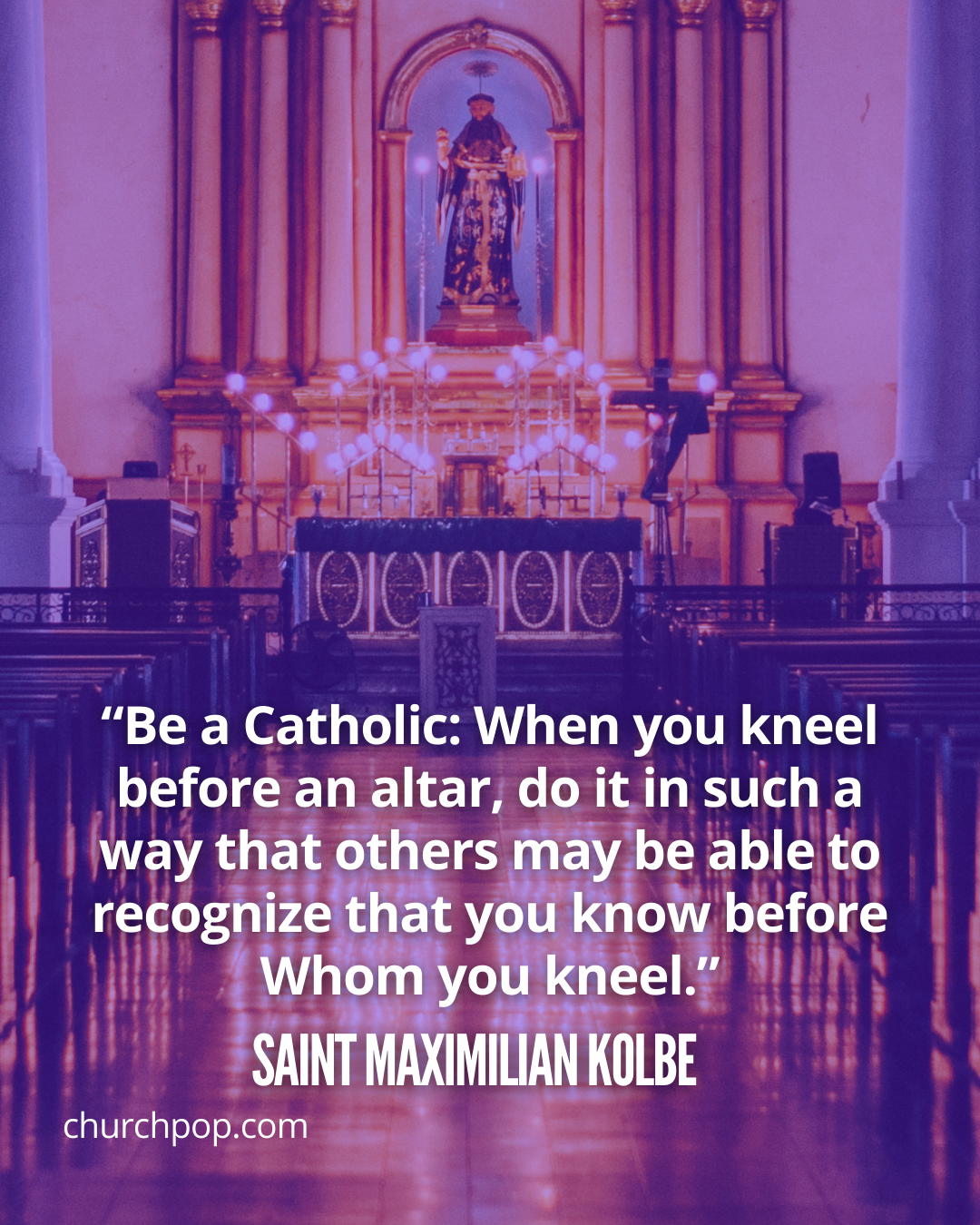  maximilian kolbe saint, saint maximilian kolbe catholic church