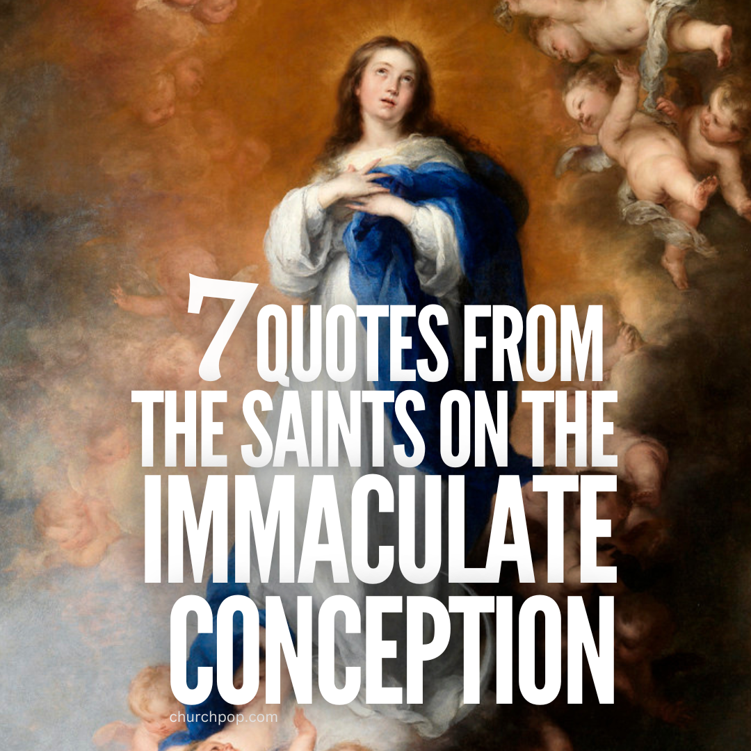 immaculate conception feast, what is the immaculate conception, immaculate conception celebration