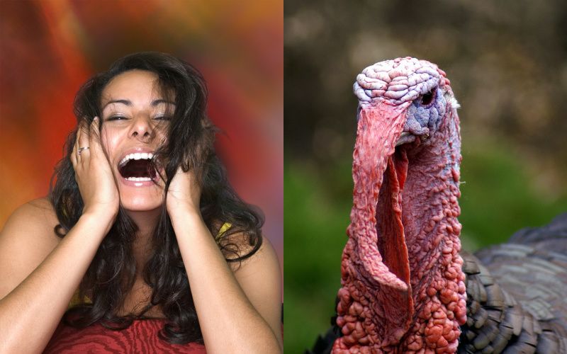 26 Thanksgiving Jokes Guaranteed to Make You the Life of the Party