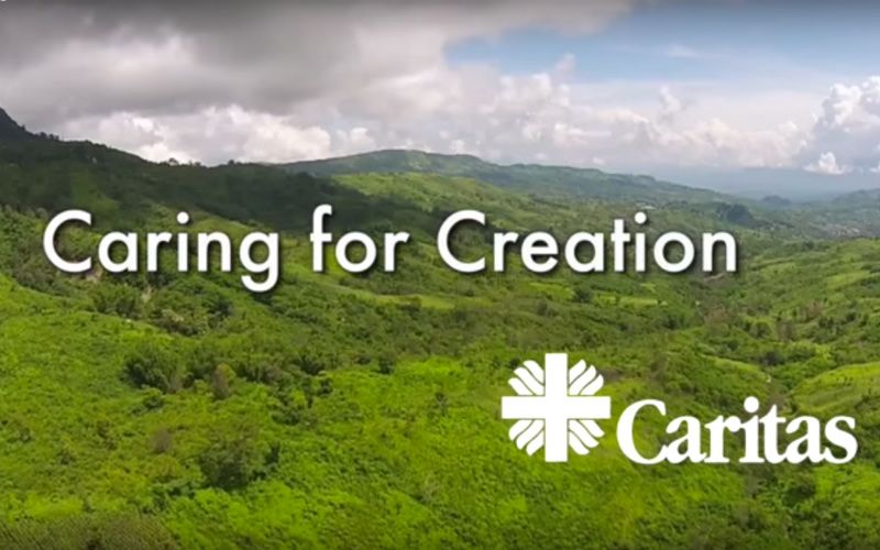 Why Christians Must Care for God's Creation, Explained by Cardinal Turkson
