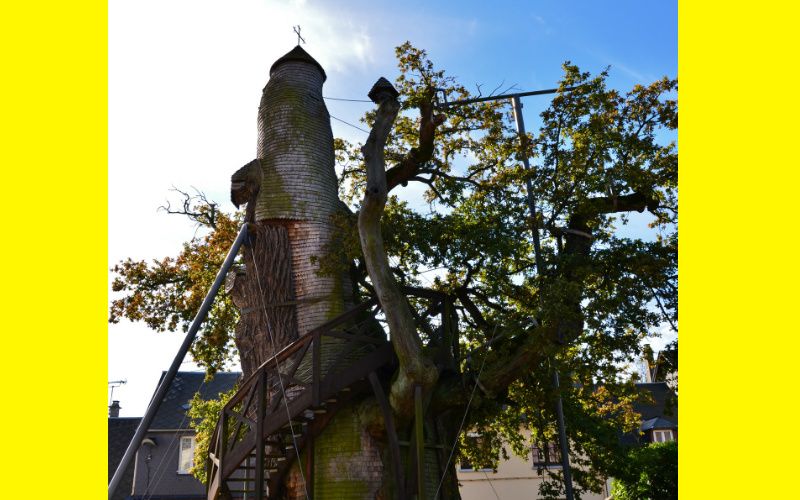France's Oldest Tree Has an Amazing Catholic Chapel Inside Of It