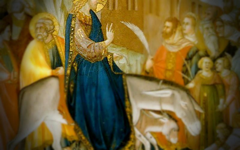 The Hidden Meanings of Palm Sunday, Explained by Bp. Robert Barron