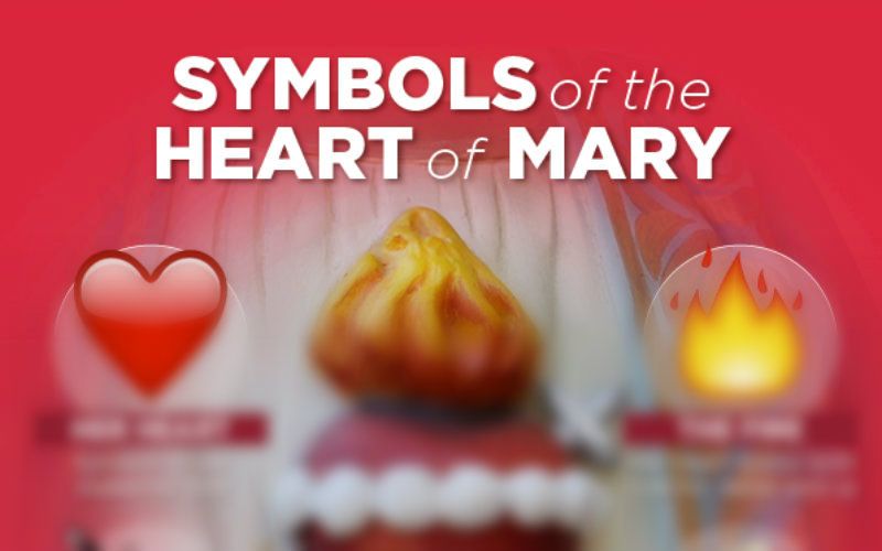 The Deep Meaning of the 4 Symbols of the Immaculate Heart of Mary