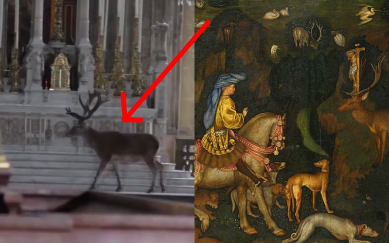 Wild Deer Wanders Inside Church of Patron Saint of Deer Hunting in Amazing Coincidence