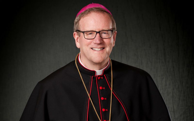 Bp. Robert Barron Lays Out What He Thinks Should Be Done About the McCarrick Scandal