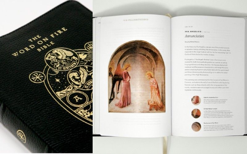 Bp. Barron's "Word on Fire Bible" Offers Unique & Powerful Gospel Study - Here's a Sneak Peek!