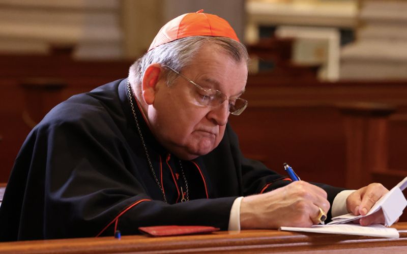 Cardinal Burke's Virus Recovery "Slow" After Hospital Discharge, New Letter Announces