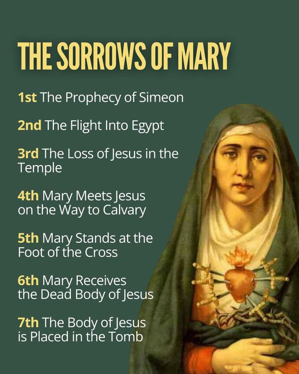 How to Pray the Seven Sorrows Rosary & Our Lady's Miraculous Promises ...