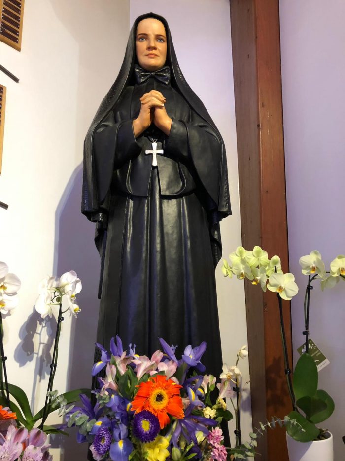 8 Facts About The Amazing St. Frances Xavier Cabrini, First Canonized ...